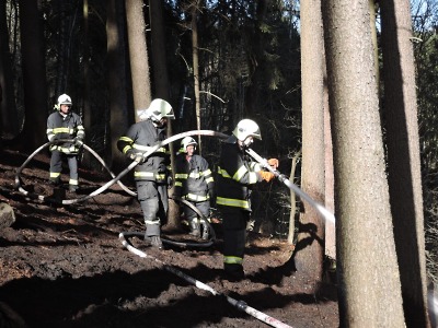 Hasiči zasahovali u lesních požárů v Jiřetíně a v Čikváskách