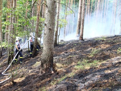 Liberecký kraj vyhlásil stav zvýšeného nebezpečí vzniku požárů