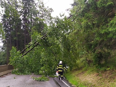 Po bouřce hasiči odstraňují stromy i čerpají vodu, nejvíce na Semilsku