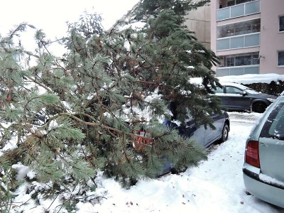 Stromy v kraji dál padají pod váhou sněhu a nově i kvůli větru