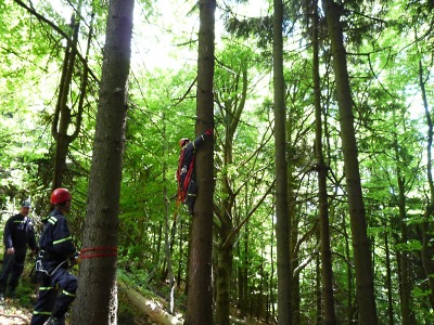 Na Kozákově spadl paraglidista, hasiči ho v pořádku spustili ze stromu
