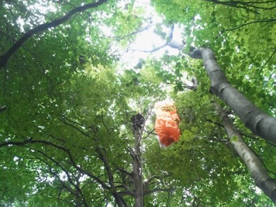 Paraglidista na Kozákově visel v korunách stromů, hasiči mu pomohli dolů