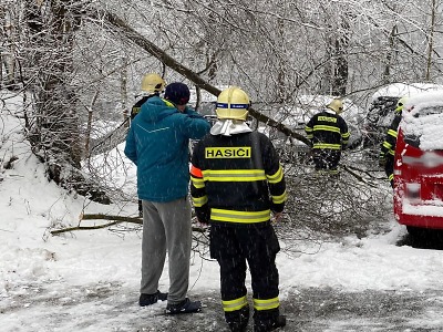 Popadané stromy po nočním sněžení zaměstnaly hasiče v celém kraji