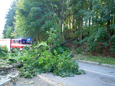 Kvůli silnému větru popadaly stromy na silnice i vedení elektřiny