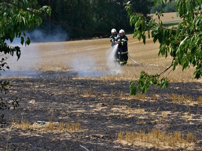 Požár pole v Radostné pod Kozákovem likvidovalo sedm jednotek hasičů