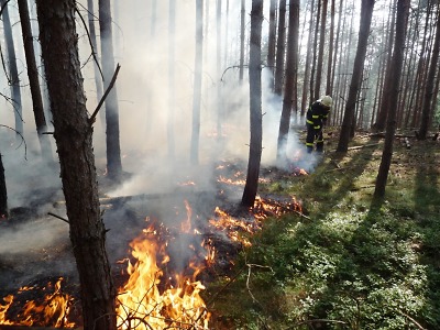 V Českém ráji znovu hořelo, hasiči likvidovali požár v lese u Hrubé Skály