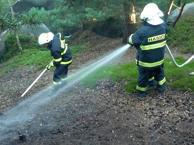 Hasiči varují před lesními požáry, nahrává jim sucho