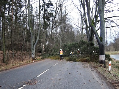 Velký vítr kácí stromy, ze silnic je odstraňují hasiči