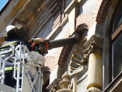 K bodavému hmyzu hasiči přijedou pouze při bezprostředním ohrožení