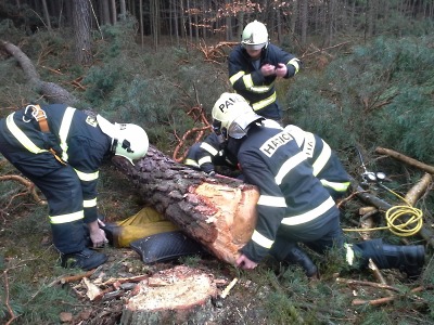 Hasiči na Turnovsku cvičili záchranu zavaleného dělníka v lese