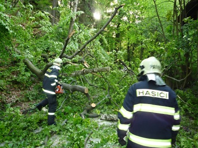 Nedělní nárazový vítr kácel v Pojizeří a v Libereckém kraji stromy