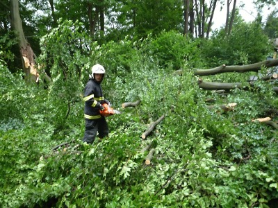 Při podvečerní bouřce stromy uzavřely některé silnice na Turnovsku