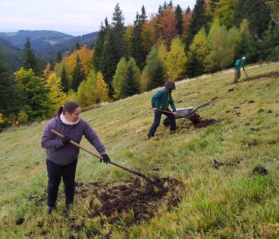 Hnojení je hostina pro krkonošské louky