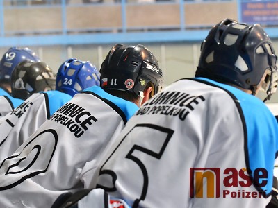 Přehled hokejových výsledků od 22. do 28. února