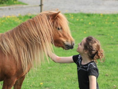 Sobota s koňmi v Tanvaldě aneb Ochutnejte hiporehabilitaci