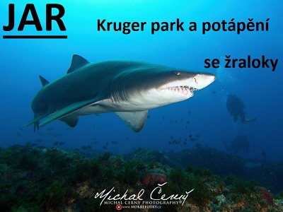 Michal Černý prozradí, jak probíhá potápění se žraloky