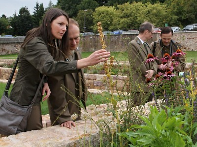 FOTO: Klášterní zahrada ve Vrchlabí už slouží veřejnosti i ekovýchově