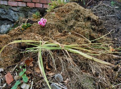 V Semilech zapůjčí lidem zdarma další kompostéry