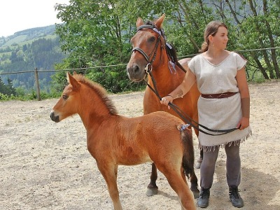Na Janově hoře pokřtí nová hříbata huculů
