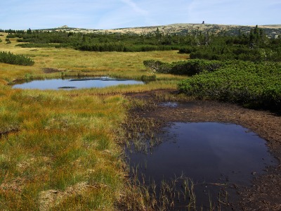 I v Krkonoších se slaví Světový den mokřadů