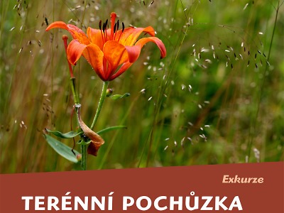 KRNAP pořádá v červenci terénní pochůzku i fotografickou vycházku