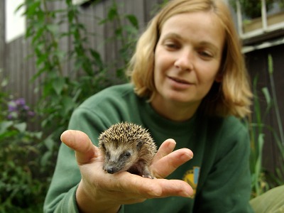Jak pomoci ježkům před zimou