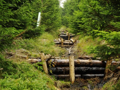 Pětiletý projekt pomohl změnit krkonošské lesy k lepšímu