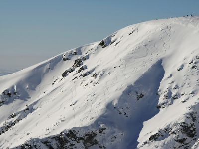 Neukáznění snowboardisté a lyžaři ohrožují v Krkonoších sokola i tetřívka
