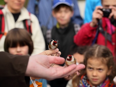 Vítání ptačího zpěvu přitáhlo 150 lidí
