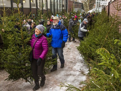 Po 150 vánočních stromcích s certifikátem FSC se jen zaprášilo