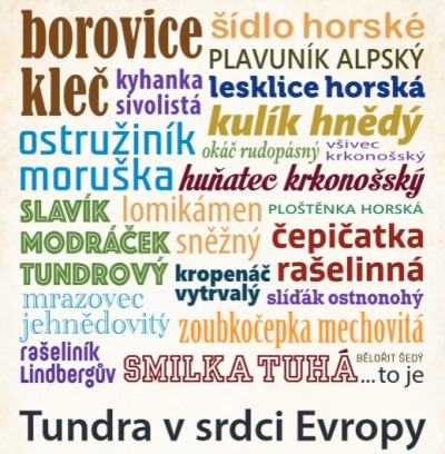 Tundra v srdci Evropy? V Krkonoších!