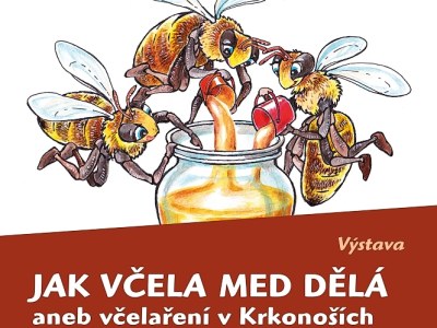 Máte rádi včely? Více se o nich dozvíte ve vrchlabském muzeu