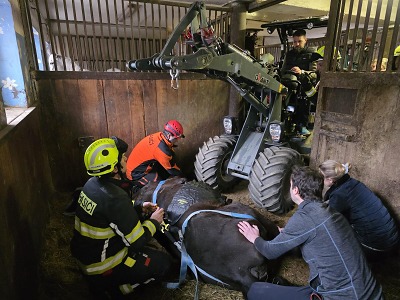 Hasiči pomohli zpět na nohy koni v Benešově u Semil