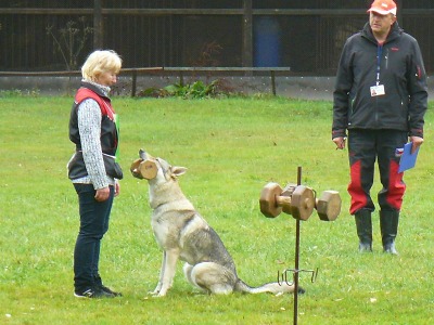 V Lomnici se konal 27. ročník kynologického závodu