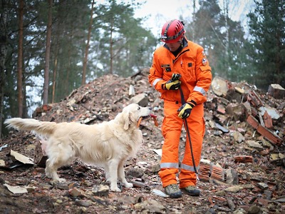 Kynologové HZS Libereckého kraje cvičili se psy v Ralsku  