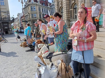 V Liberci se konalo Mistrovství republiky ve výkonu vodicích psů