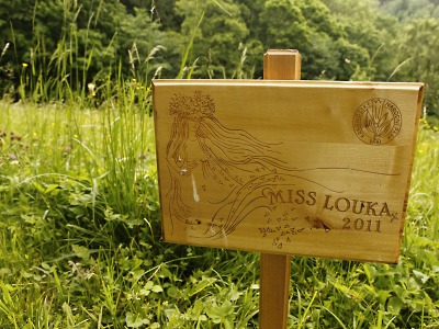 Žáci mohou nominovat oblíbenou krkonošskou louku do soutěže miss