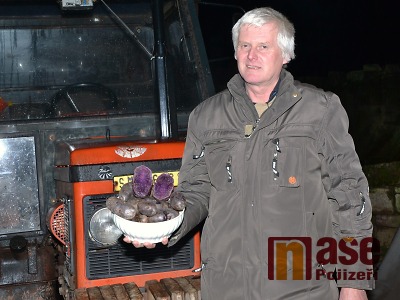 Modré šmoulí brambory sklízí i pěstitel z Libštátu