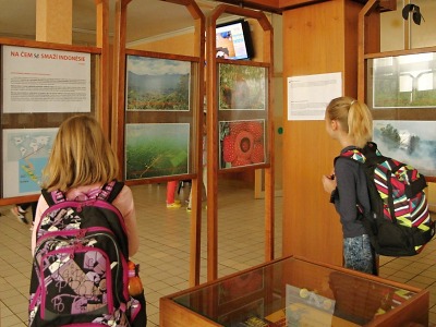 Výstava ve Vrchlabí ukazuje, co stojí za výrobou palmového oleje