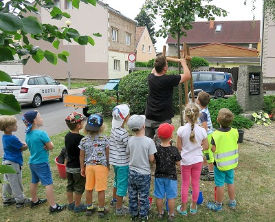 Žádosti o grant na výsadbu stromů a zeleně se přijímají do konce ledna