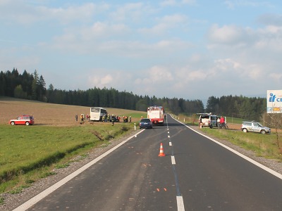 Autobusu se zahraničními turisty zkřížil u Zálesní Lhoty cestu jelen