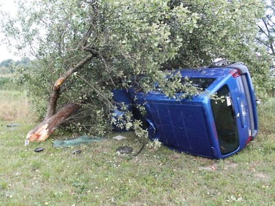 Při vyhýbání divočákovi v Proseči nakonec autem přerazil strom