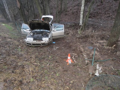 Tři zranění cizinci při nehodě u Hodkovic