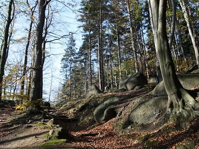 Oldřichovský Špičák láká na pomníček dřevorubce i skalní vyhlídky