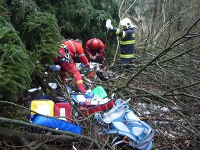 Na muže ve Svojku spadl strom. Mobilem si naštěstí sám zavolal pomoc