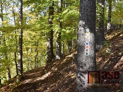 Dotace pomůže městu Semily s revitalizací Palackého sadů