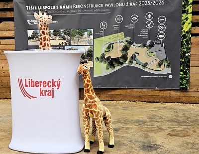 Rekonstrukce pavilonu žiraf v liberecké zoo začíná