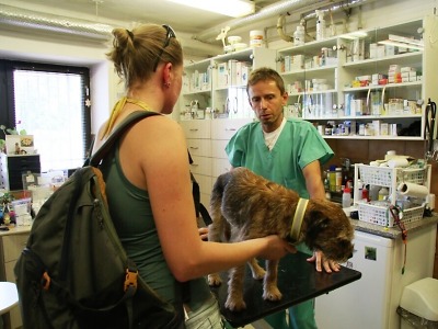 Policie šetří, zda majitelka psa uvězněného v noře nepochybila