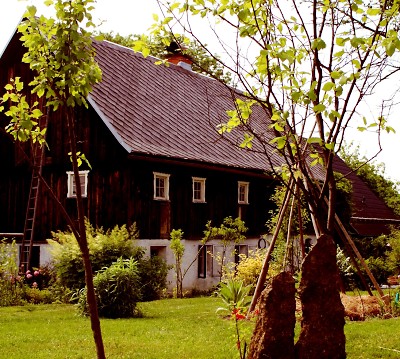 Lidé využili příležitosti nahlédnout do podstávkových domů