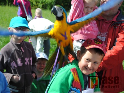 FOTO: Pohádkový les v Semilech letos s rekordní účastí